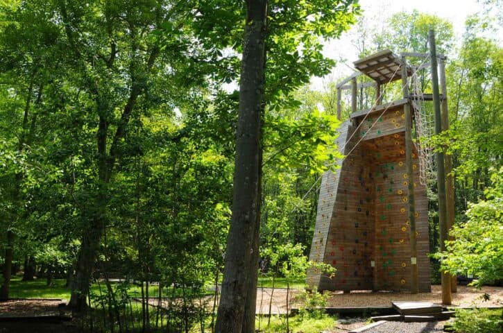 climbing tower in the woods.