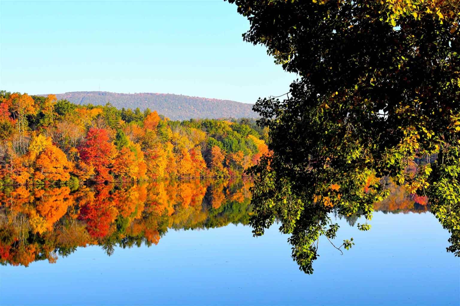 fall foliage and trout lake.