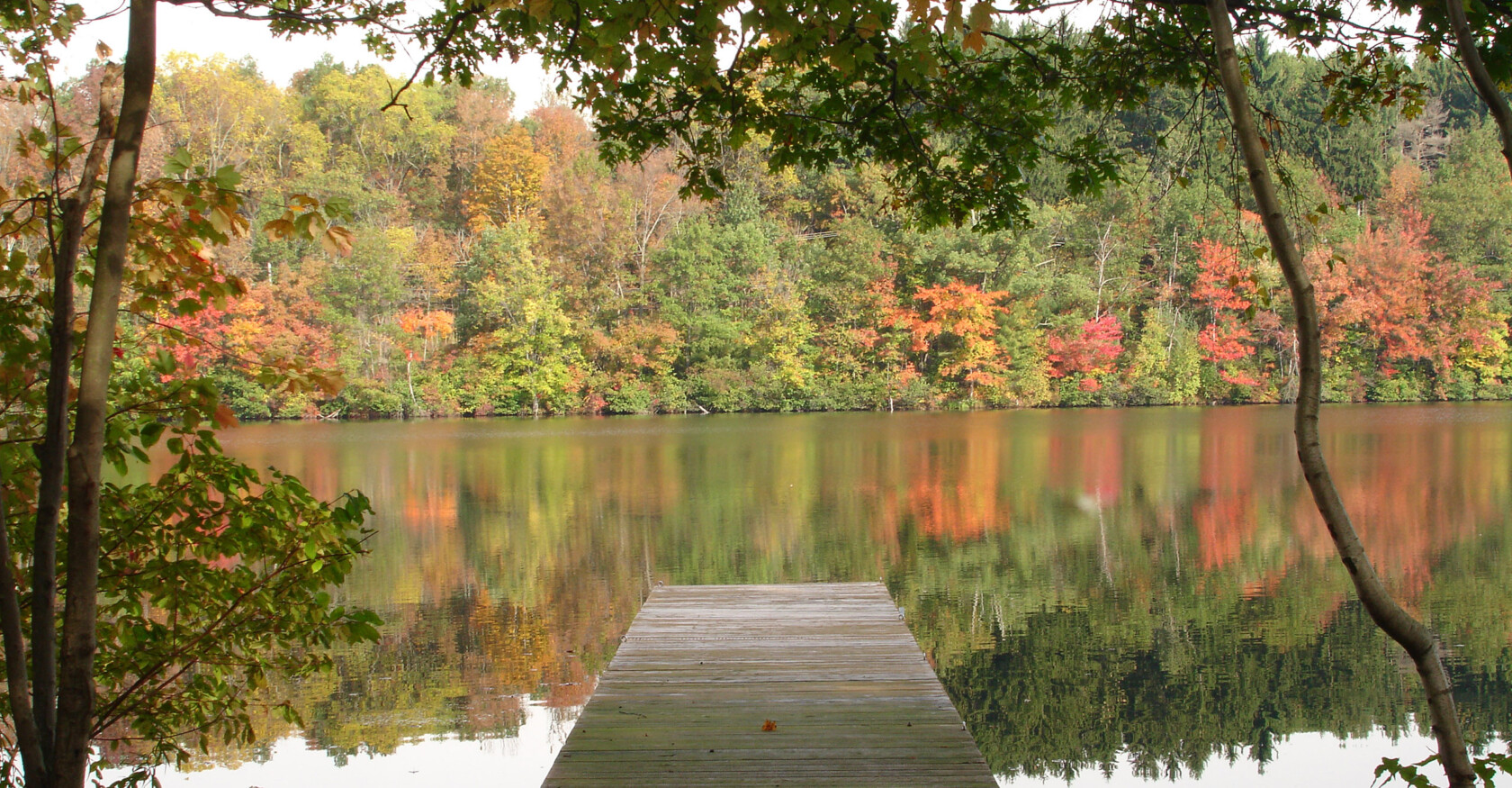 View of lake and wooden dock.
